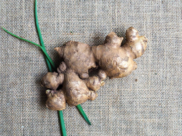 Chinese Old Ginger 老姜