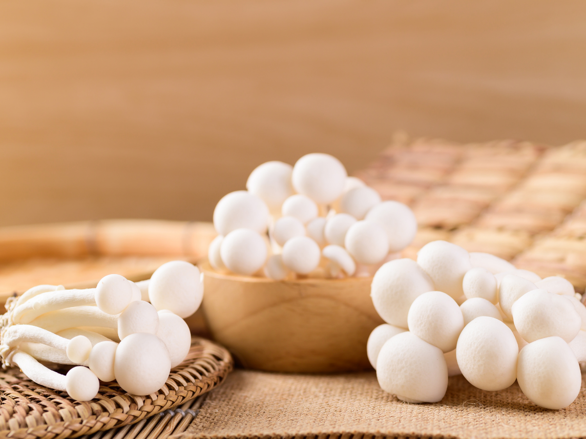 Shimeiji Mushroom 白玉菇